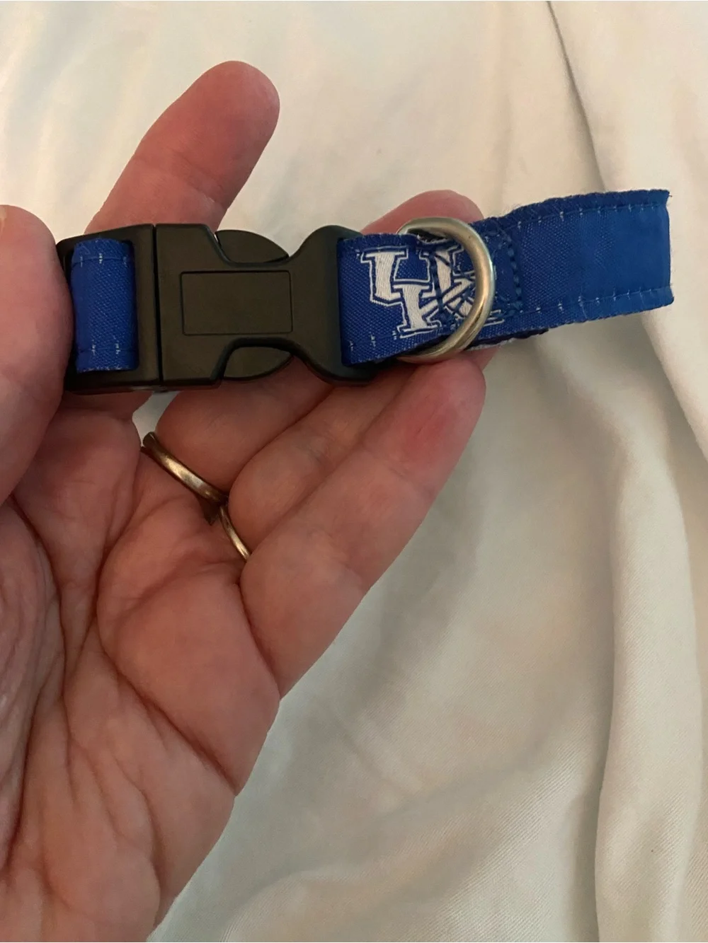 Blue University of Kentucky Logo Dog Collar with Quick-Release Buckle